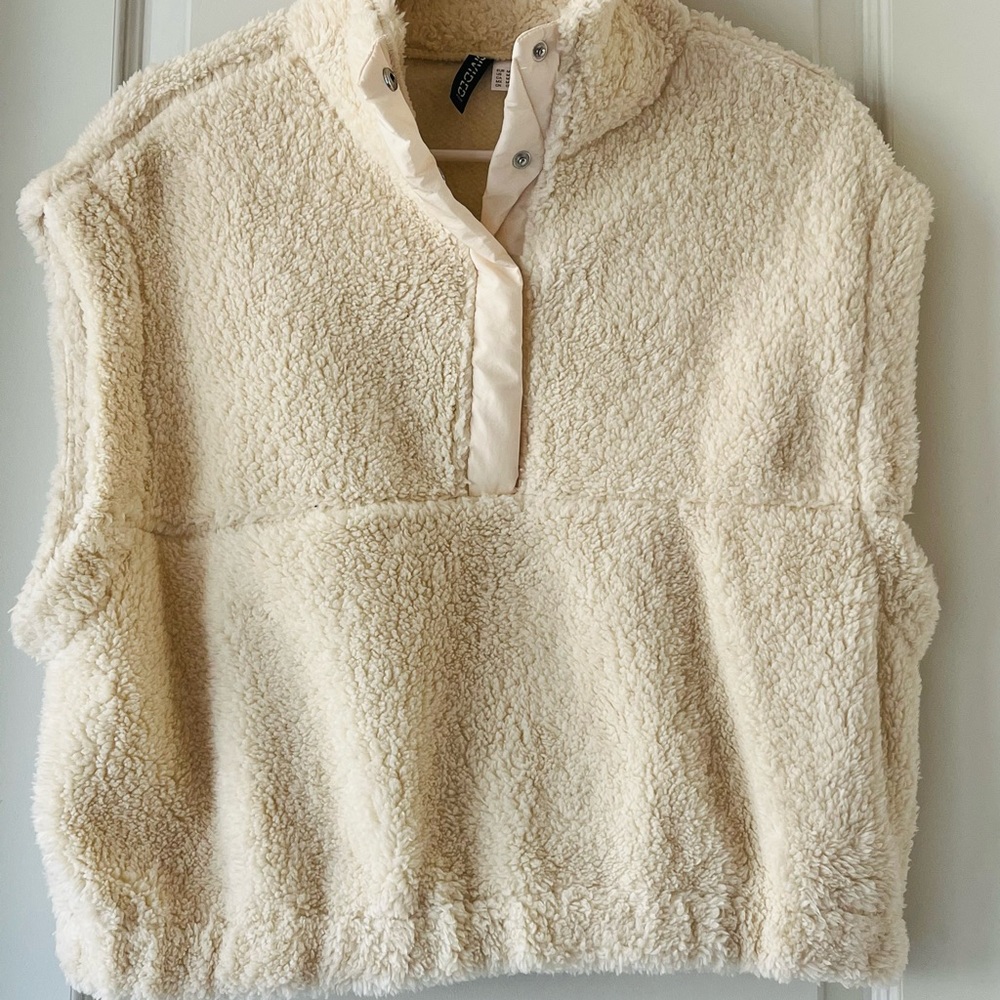 H&M Fur Vest